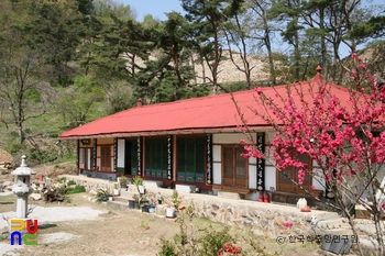 보은 보은사 정측면