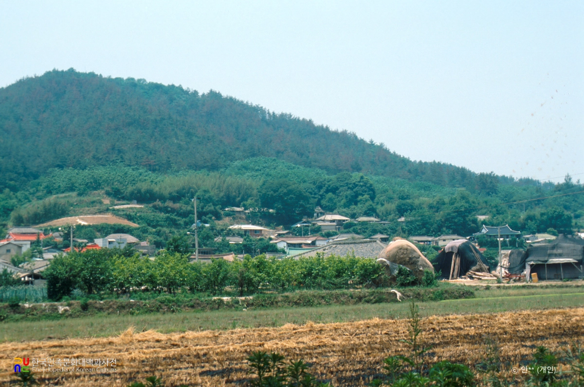 함평 초포리 고분 출토 옹관묘