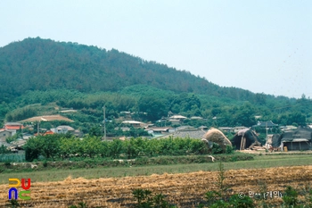 함평 초포리 고분 출토 옹관묘