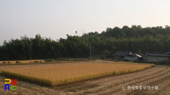 함평 마산리 고분군