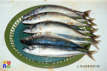 강원 랜드 슬롯 머신 규칙