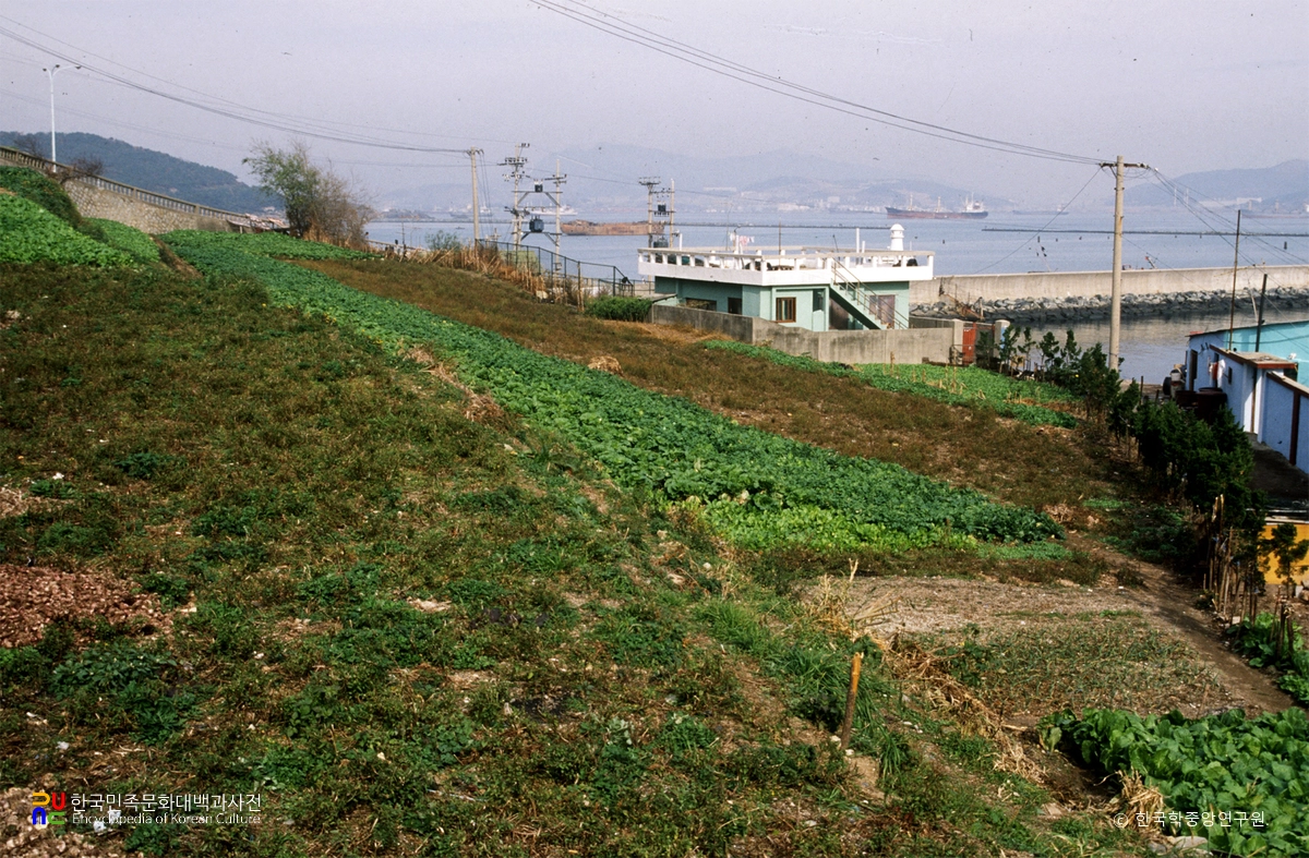 부산 동삼동 패총