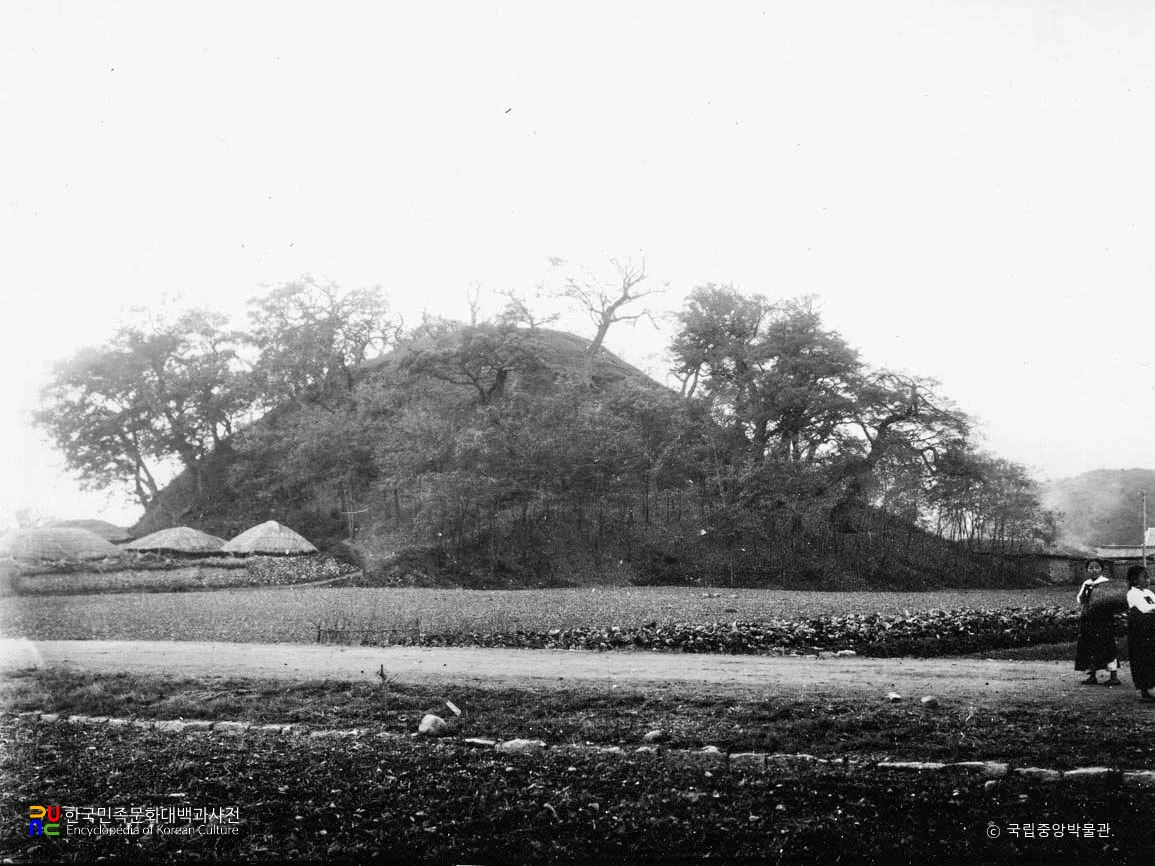 경주 대릉원 일원 중 봉황대 고분 전경