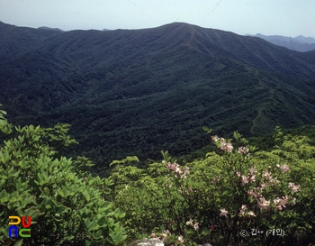 수도산 정상