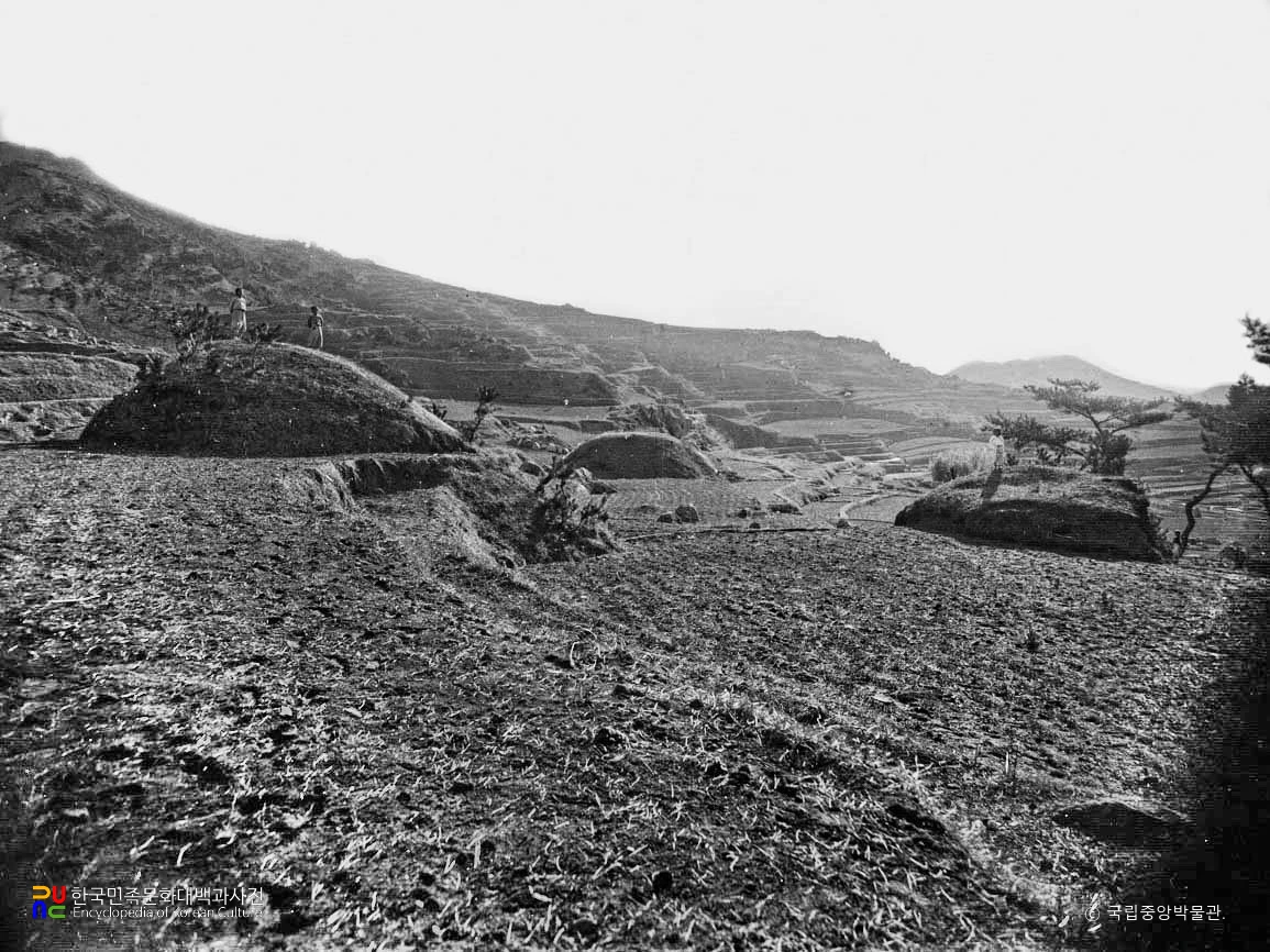 김해 구산동 고분군 전경