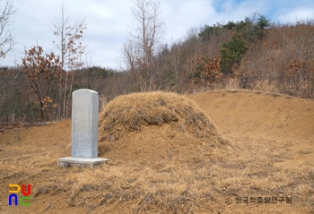 양평 양헌수 묘