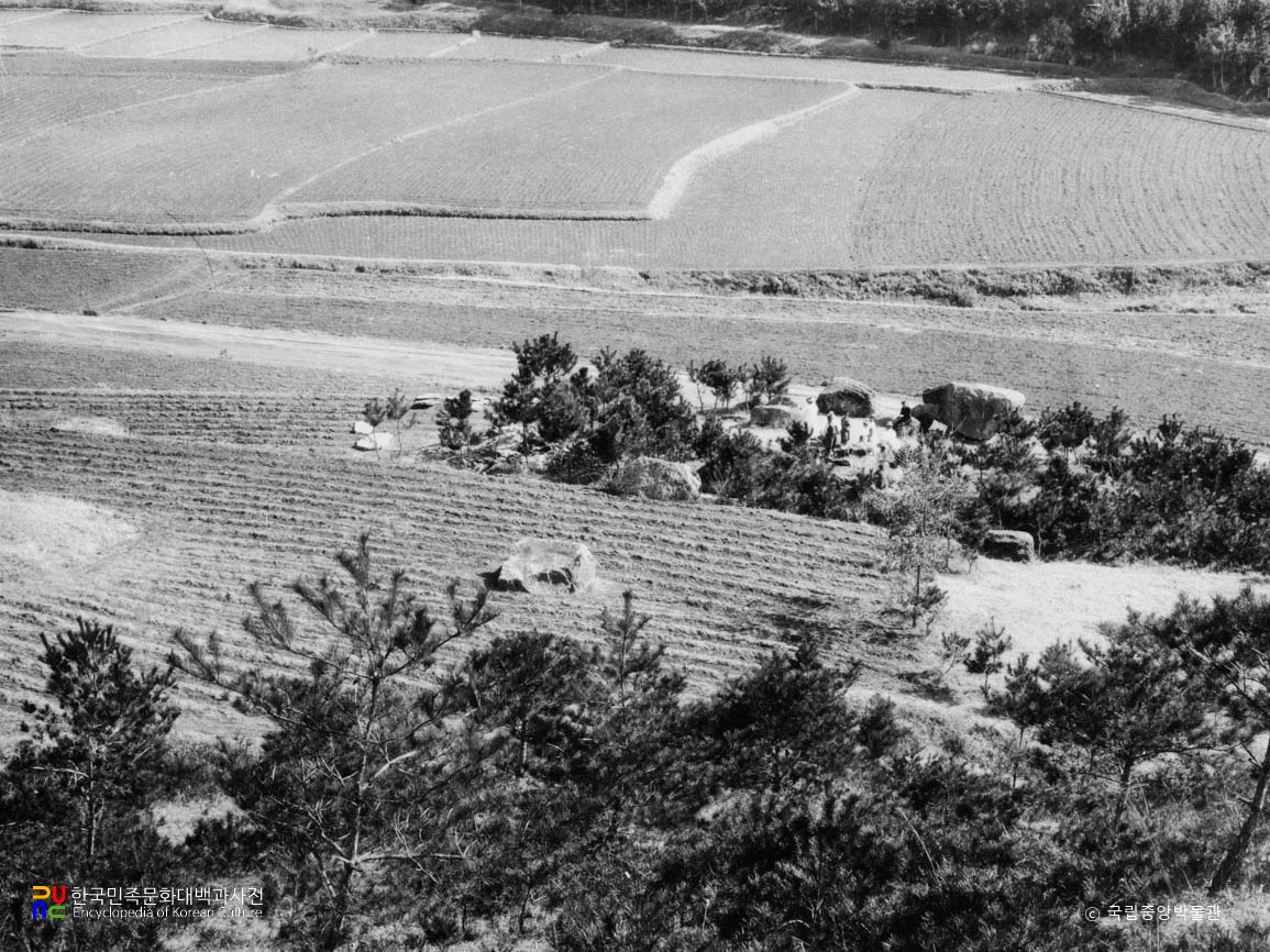 나주 노동리 동부 지석묘군 전경