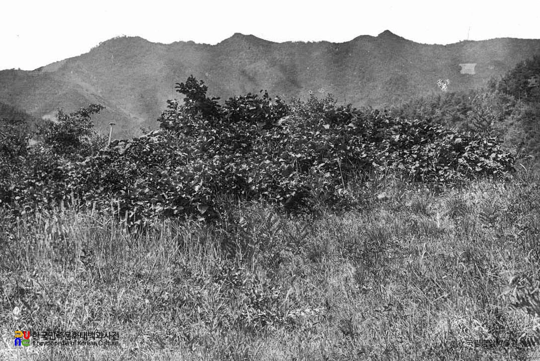 평북 위원 만호동 석총 전경