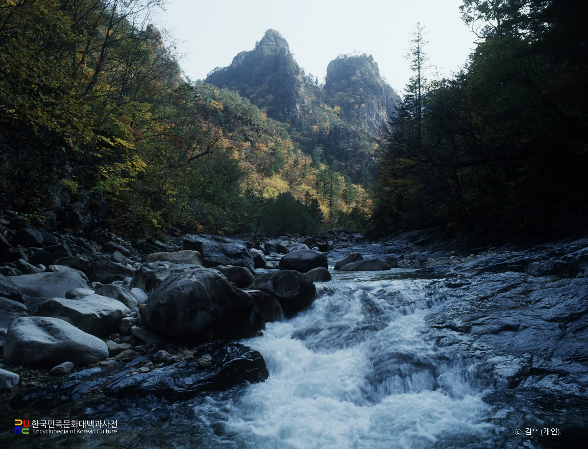 설악산 천연보호구역 내설악 수렵동 계곡