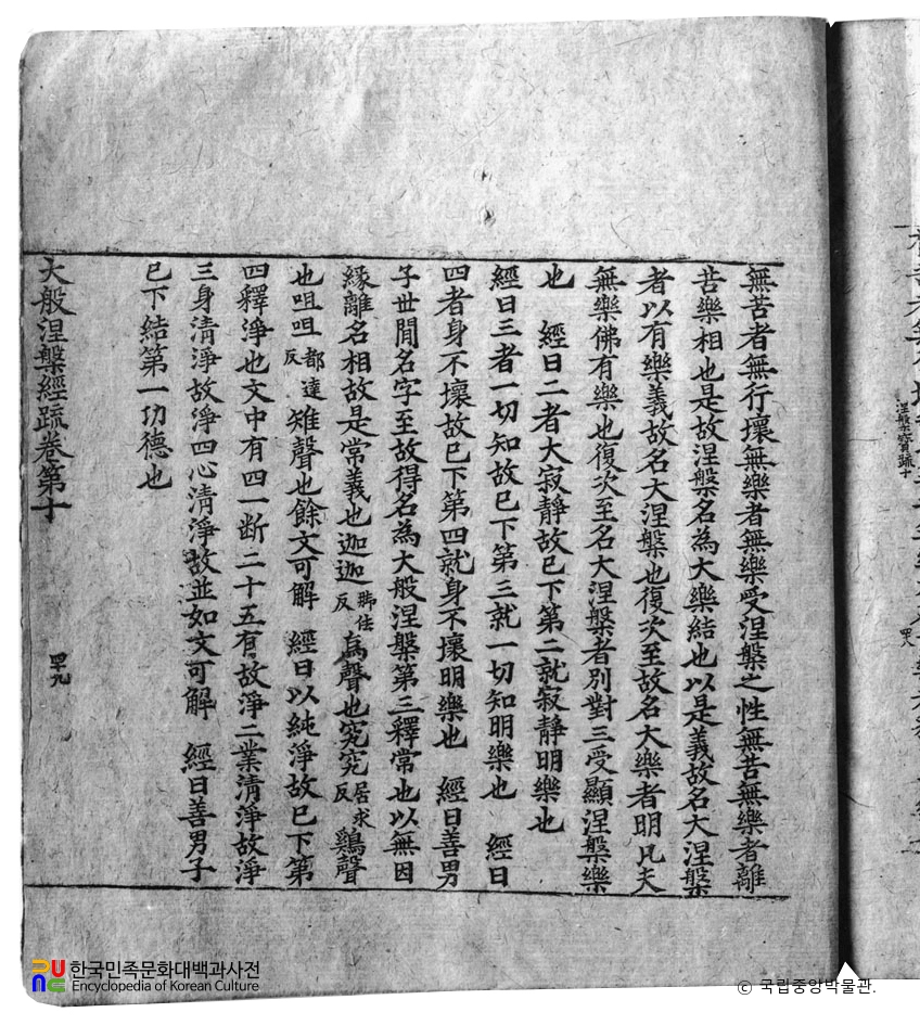 전남 순천 송광사 대반열반경소 권제10 제49면