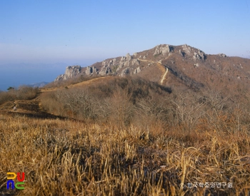 남해 금산