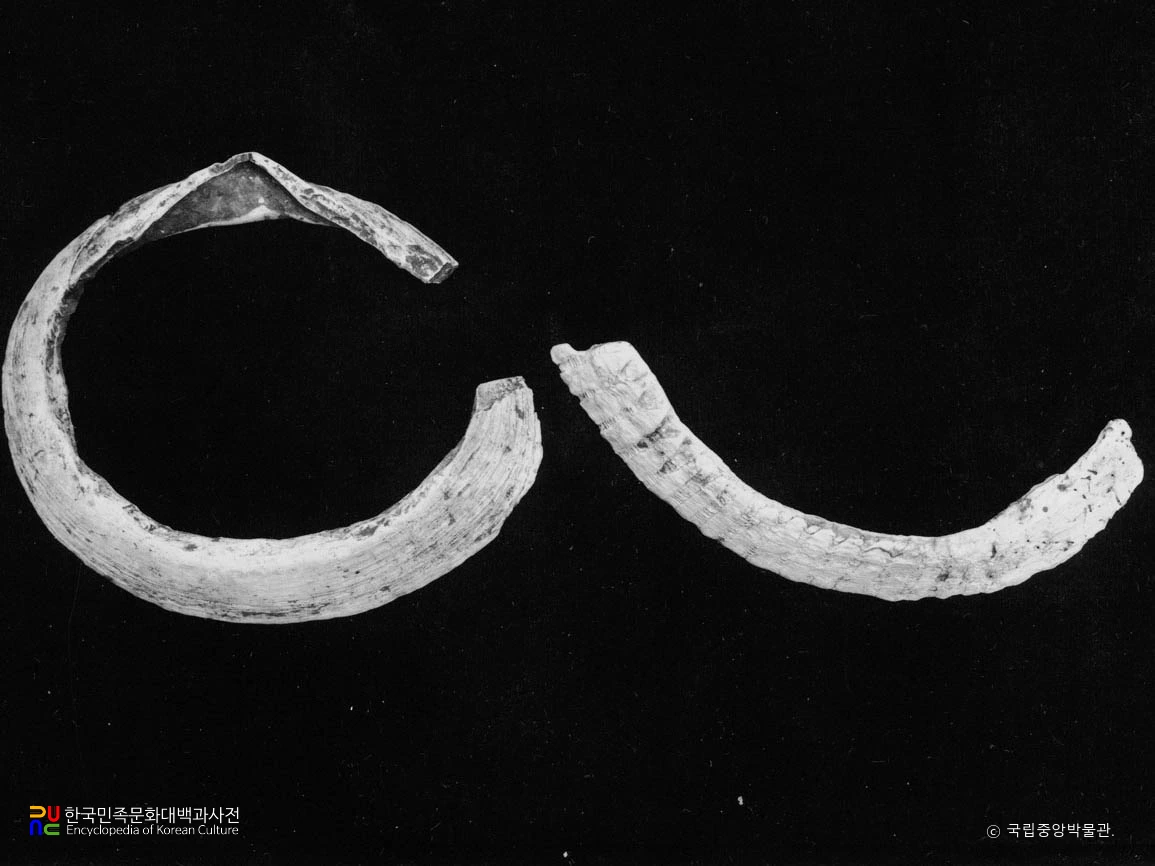 부산 영도 동삼동 패총 패륜