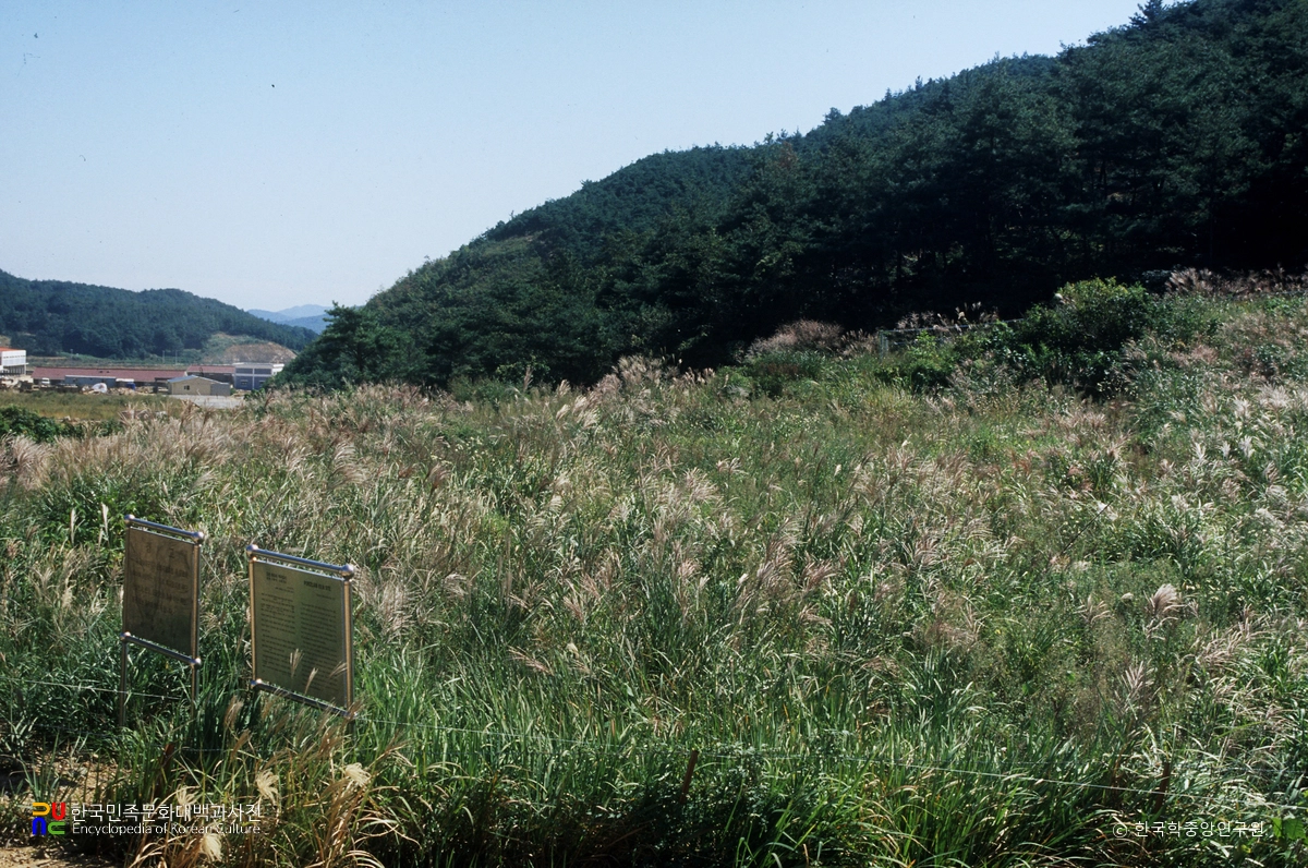 장성 대도리 백자 요지