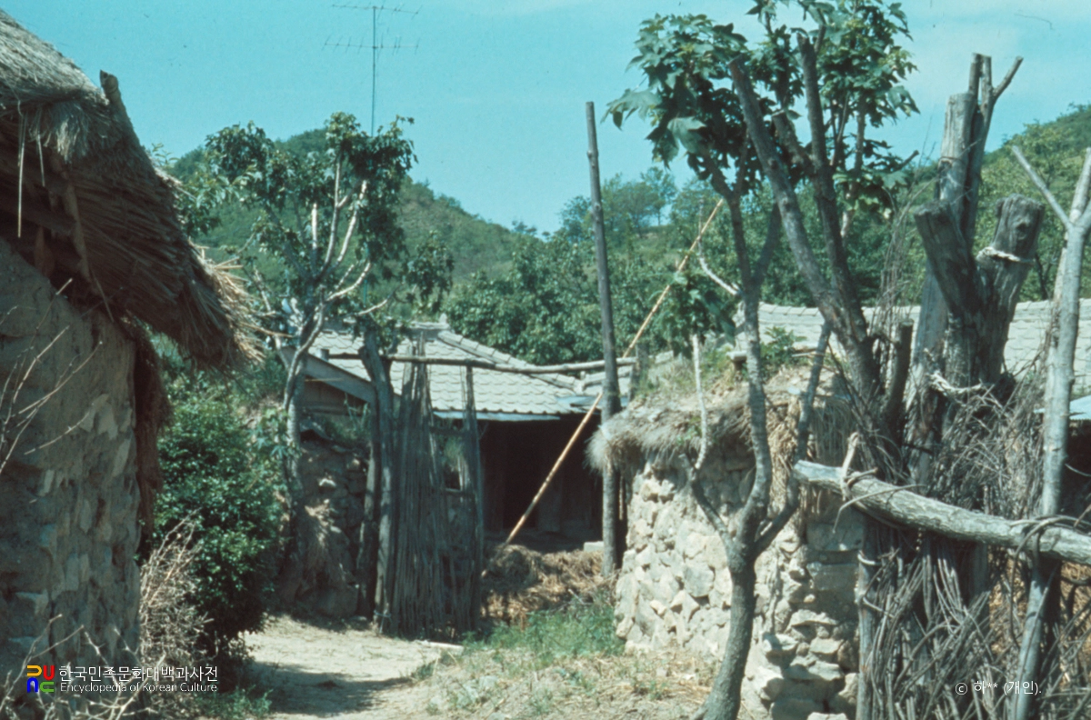 엄나무를 걸어놓은 집