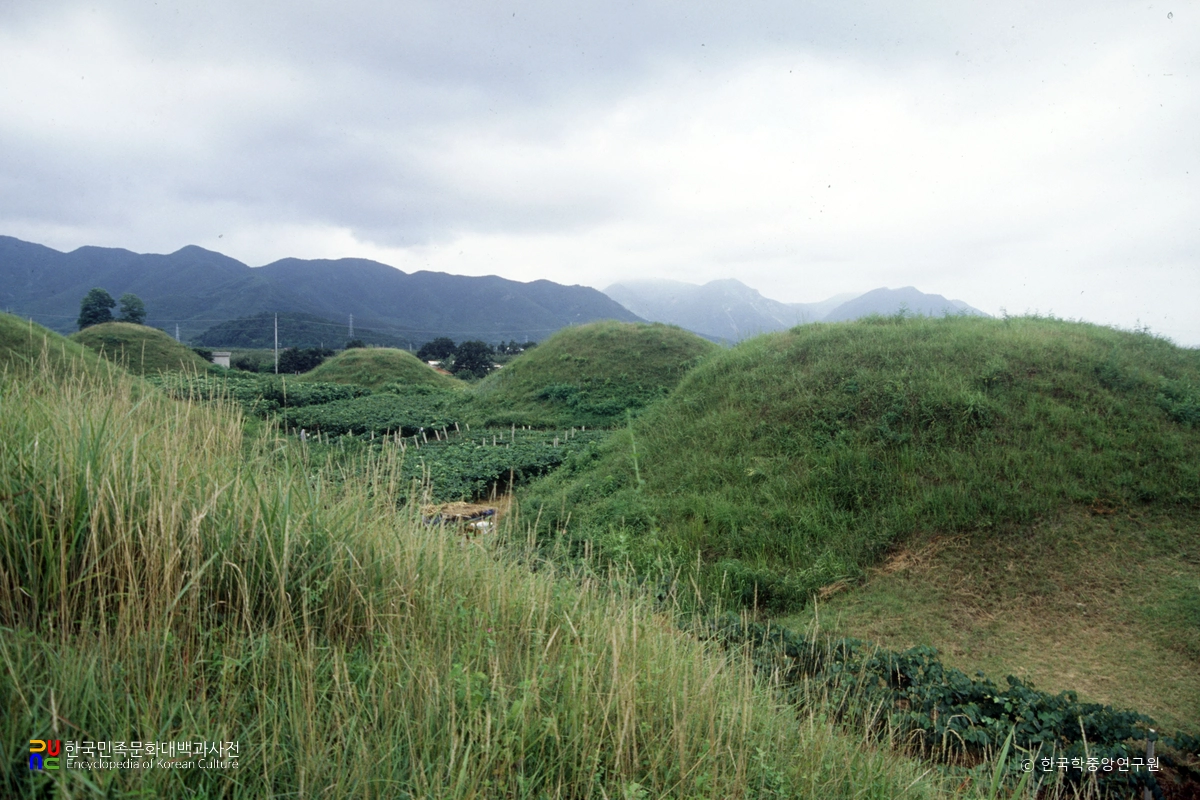 경주 금척리 고분군 전경
