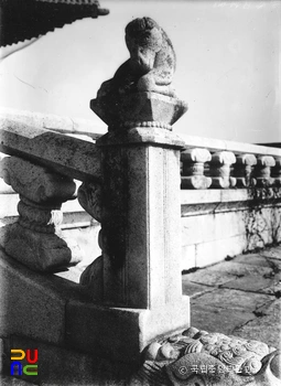 서울 경복궁 근정전 월대 십이지신상 중 말상 정측면