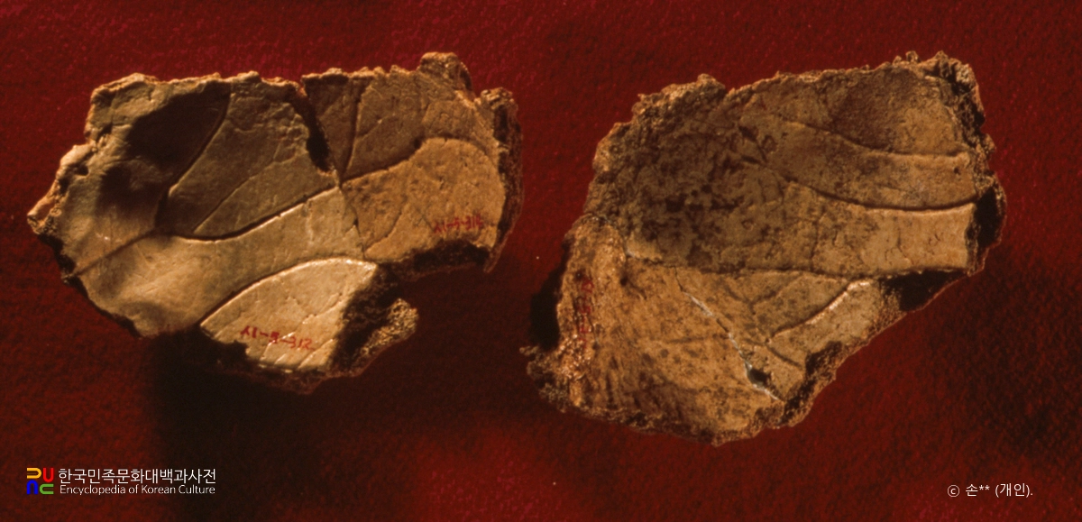 상시 바위그늘 유적 / 슬기사람의 윗머리뼈