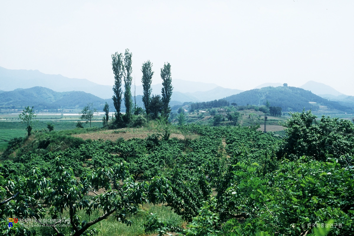 함안 가야리 고분군