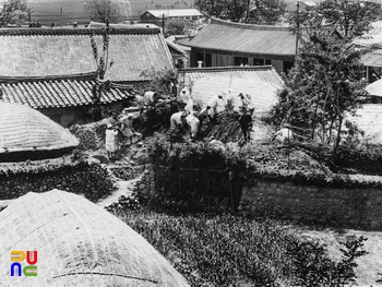 경주 대릉원 일원 중 슬롯 머신 배팅 방법 발굴 개시 모습