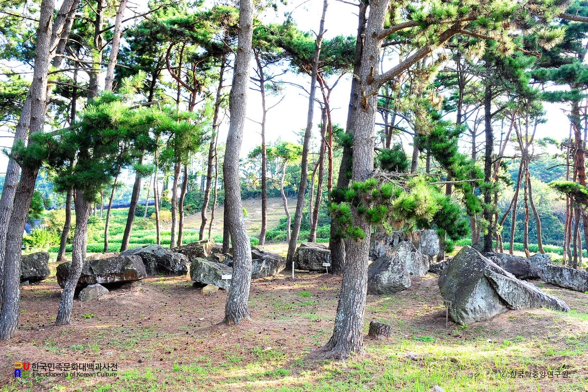 영광 성산리 지석묘군 전경