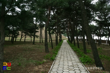 강서 세무덤 중 대묘 우측 오솔길