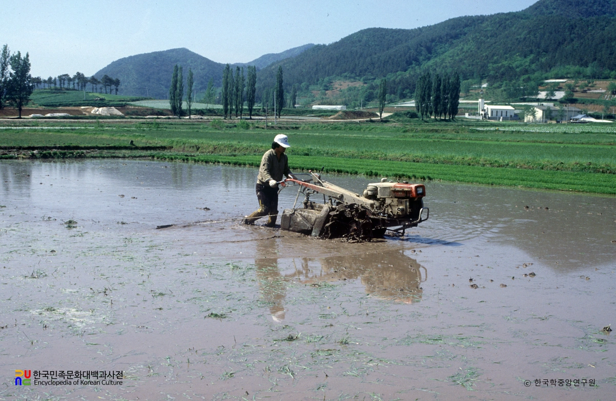 써레질 / 경운기