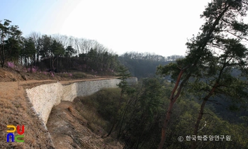 충주 장미산성