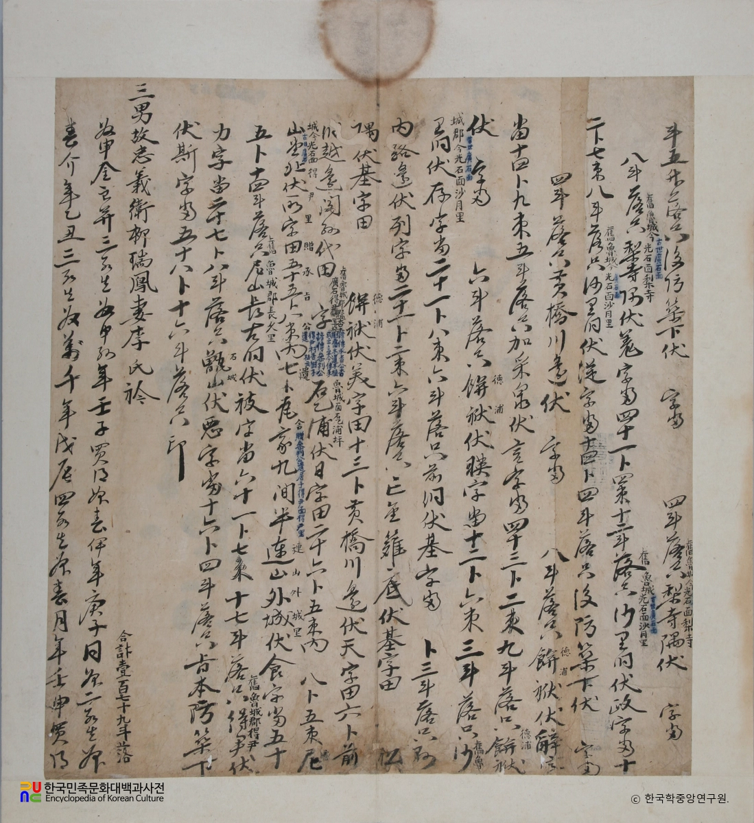 윤돈 등의 동복화회입의