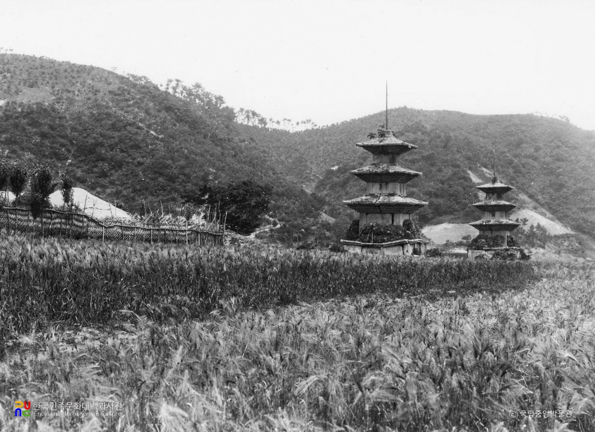 경주 감은사지 동서 삼층석탑 전경