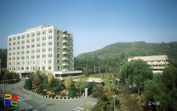 세부 워터 프론트 카지노 슬롯 머신