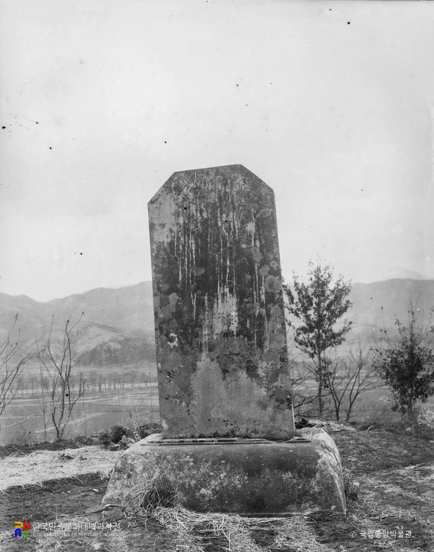 충주 억정사 대지국사비 배면