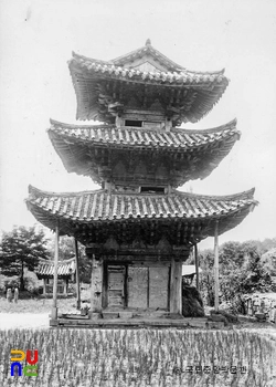 화순 쌍봉사 대웅전 동면