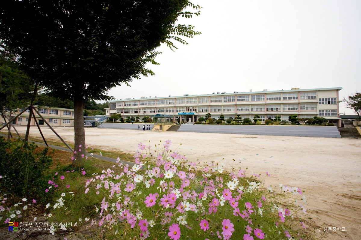 신등중학교