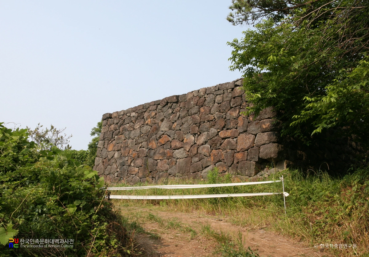 제주 연동 연대 측면