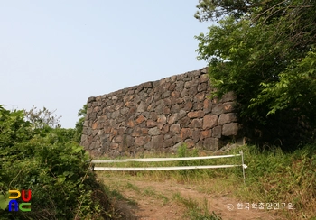 제주 연동 연대 측면
