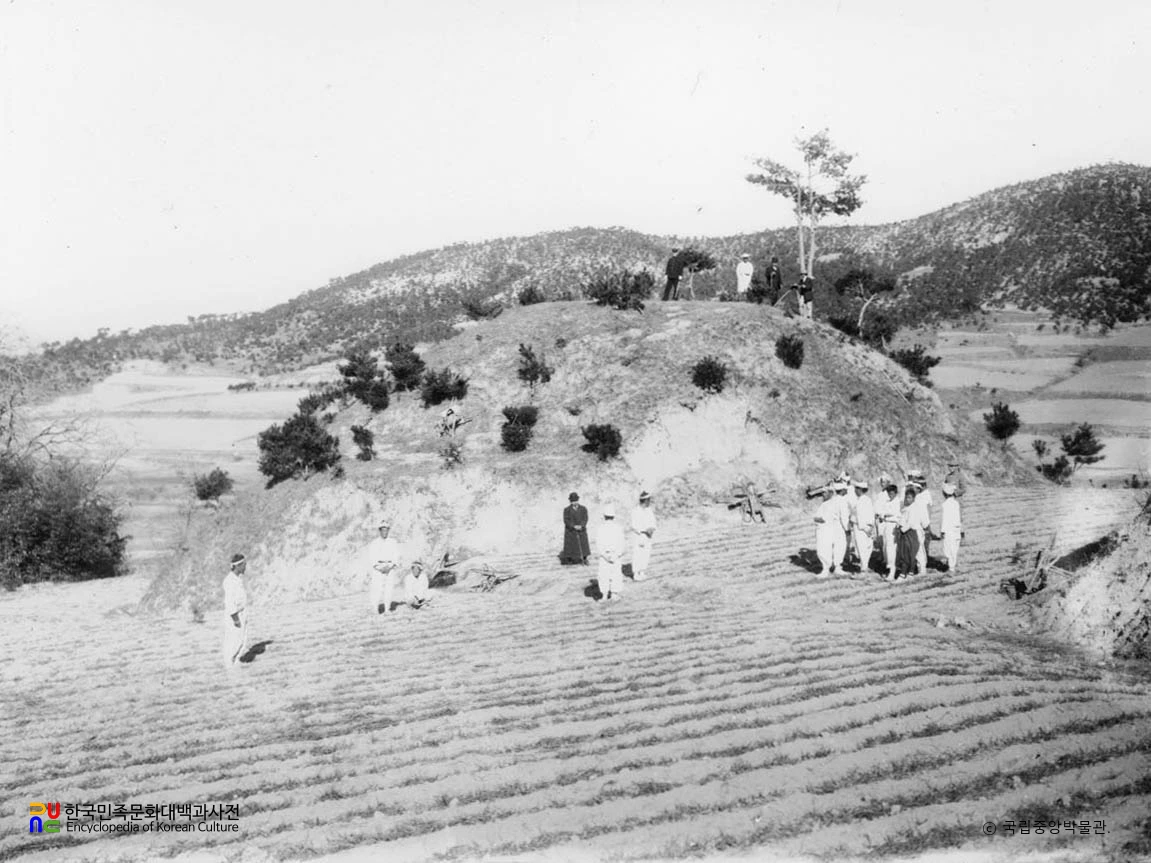 성주 성산동 고분군 중 대분 발굴 이전 모습