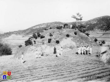 성주 성산동 고분군 중 대분 발굴 이전 모습