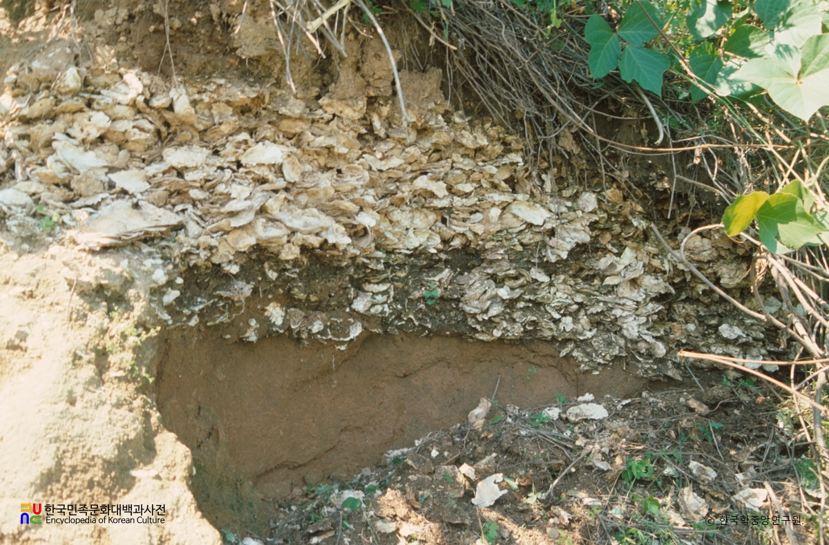 부산 수가리 조개더미