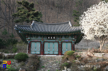 군위 수태사 중 원통전 정면