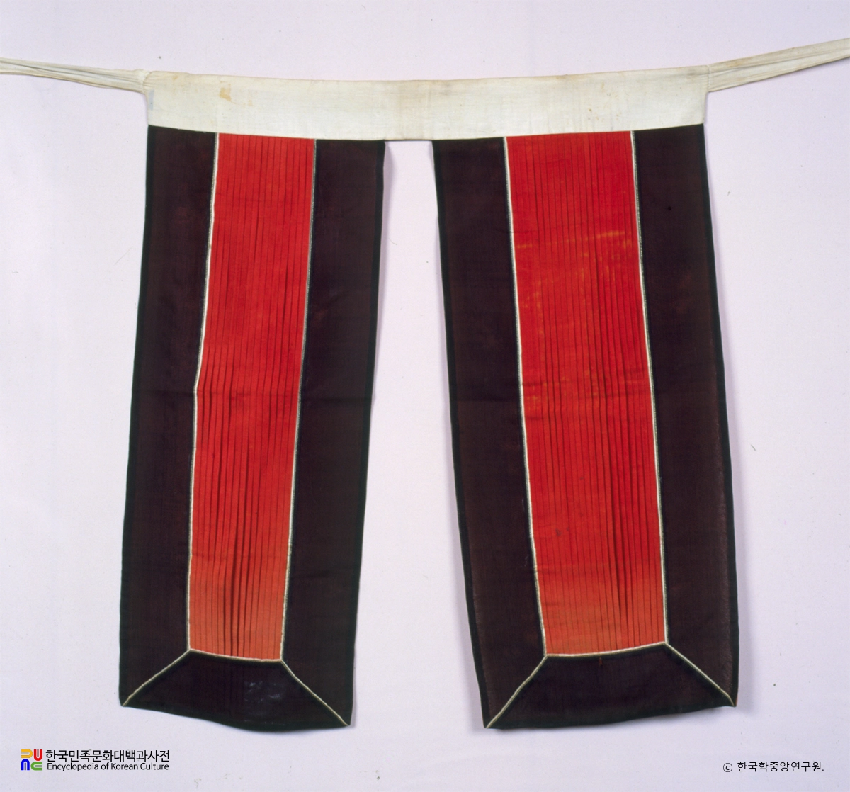 경산 정원용 의대