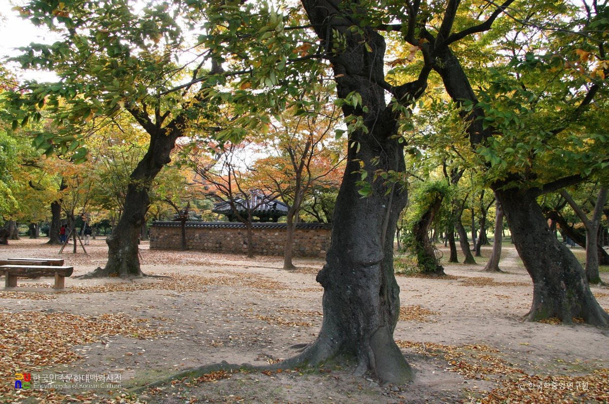 경주 계림