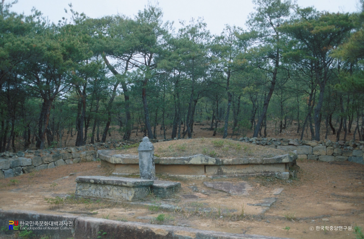 진양 효자리 조선조 팔각형 고분군