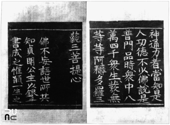 고성 유점사 소장 전 인목왕후어필 관세음보살보문품경 중 본문