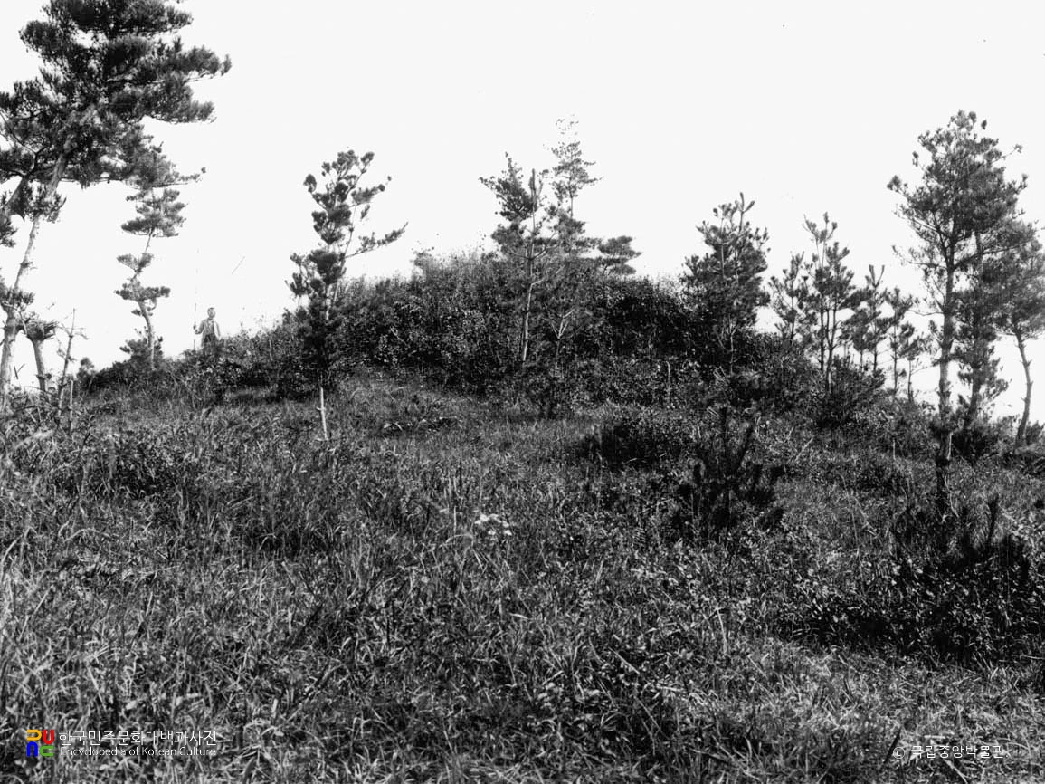 평안남도 대동군 내리 제1호분 남면 전경