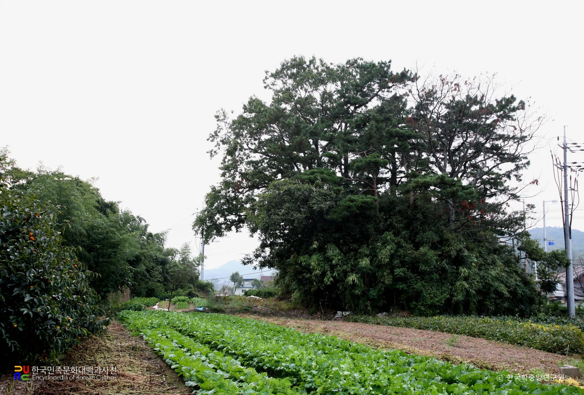 울산 대대리 고분군