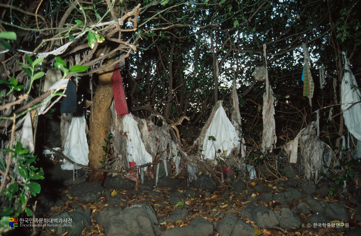 제주 광평 본향당 전경