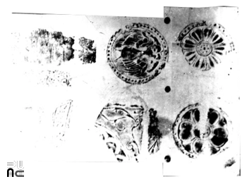 창녕 인양사 조성비 부근 와전 탁본