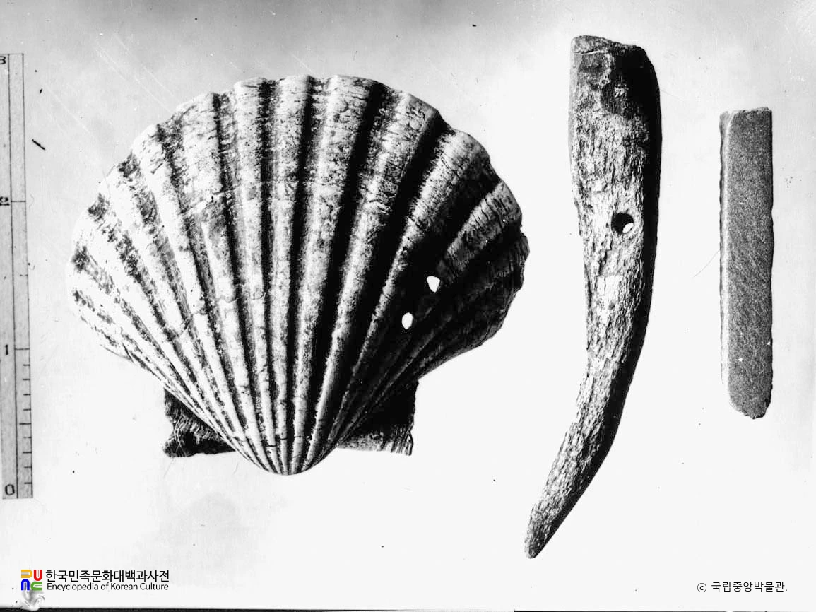 경남 양산 남부동 패총 천혈패각 각도자병 지석