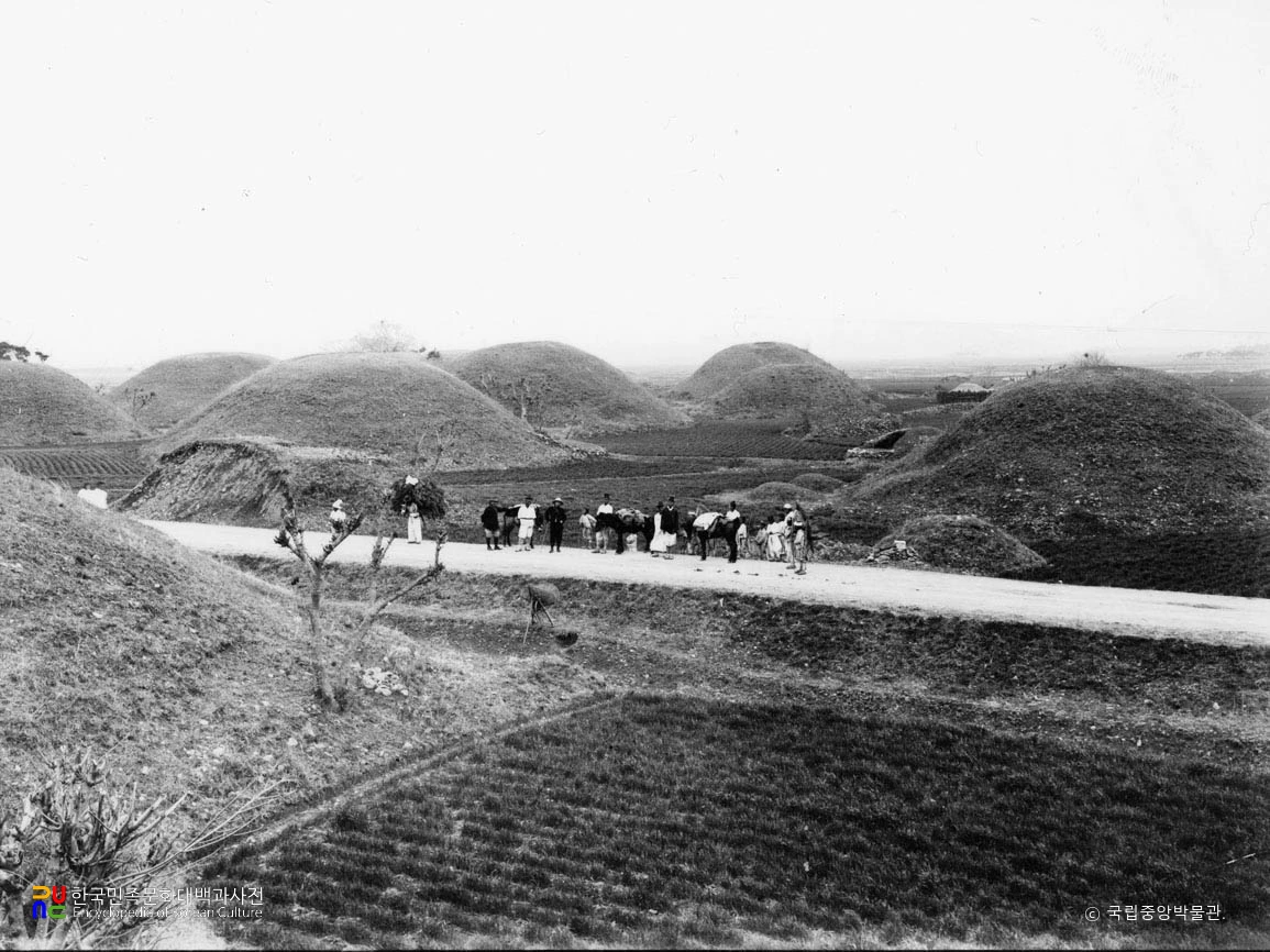 경주 금척리 고분군 전경