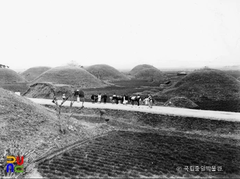 경주 금척리 고분군 전경